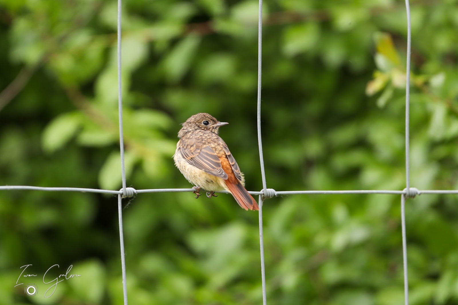 1DX45931 04 juni 2022 1214 22